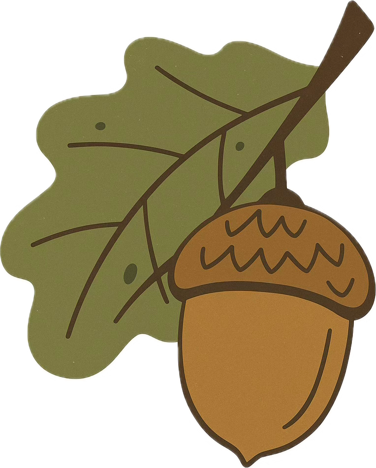 acorn